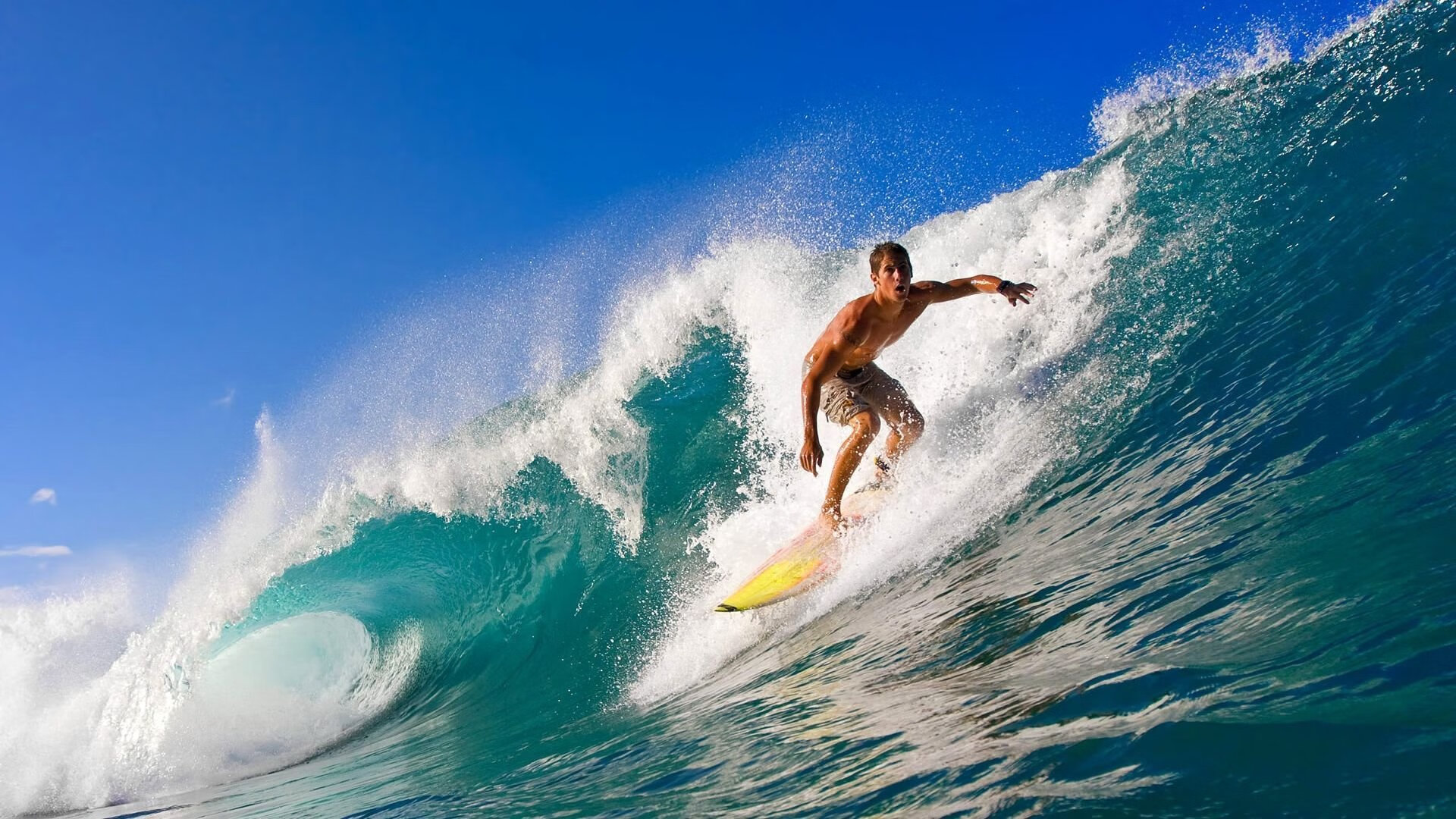 九游(jiuyou)官方网站-辽宁将要迎来福建的挑战，胜利在望，福建 辽宁